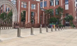 學校蘑菇AV下载是否有必要